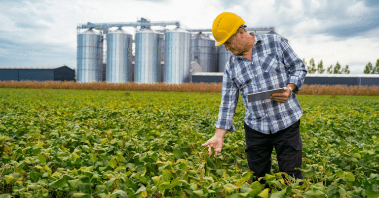 Corteva avalia dividir operações: o que significa para o agronegócio?